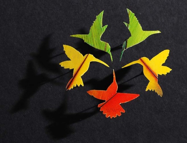 plume-decoupe-02-700x535